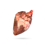 دل گوسفند