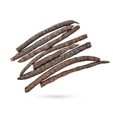فلوس