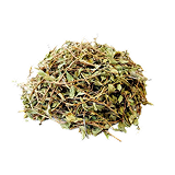 کاکوتی