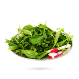 سبزی‌خوردن