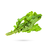 شاهی