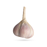 موسیر