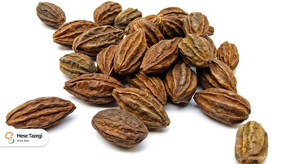 هلیله_سیاه_چیست_حس_تازگی