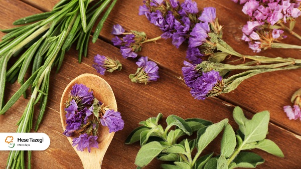 بادرنجبویه_چیست_حس_تازگی_2