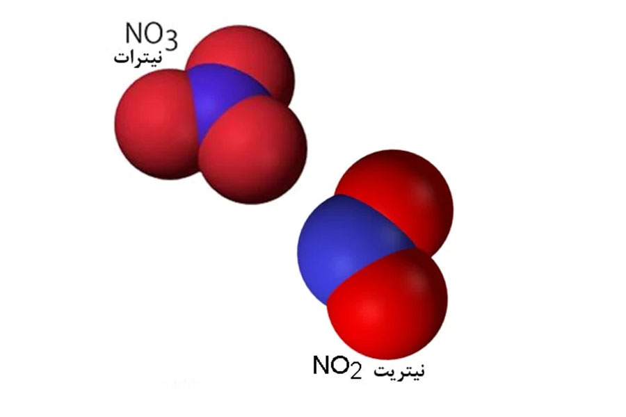 همه چیز درباره نیتریت و نیترات