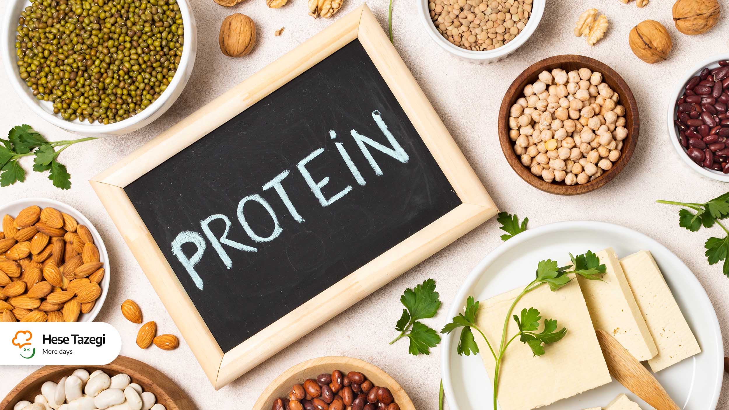 پروتئین چیست و چه فوایدی برای بدن دارد؟